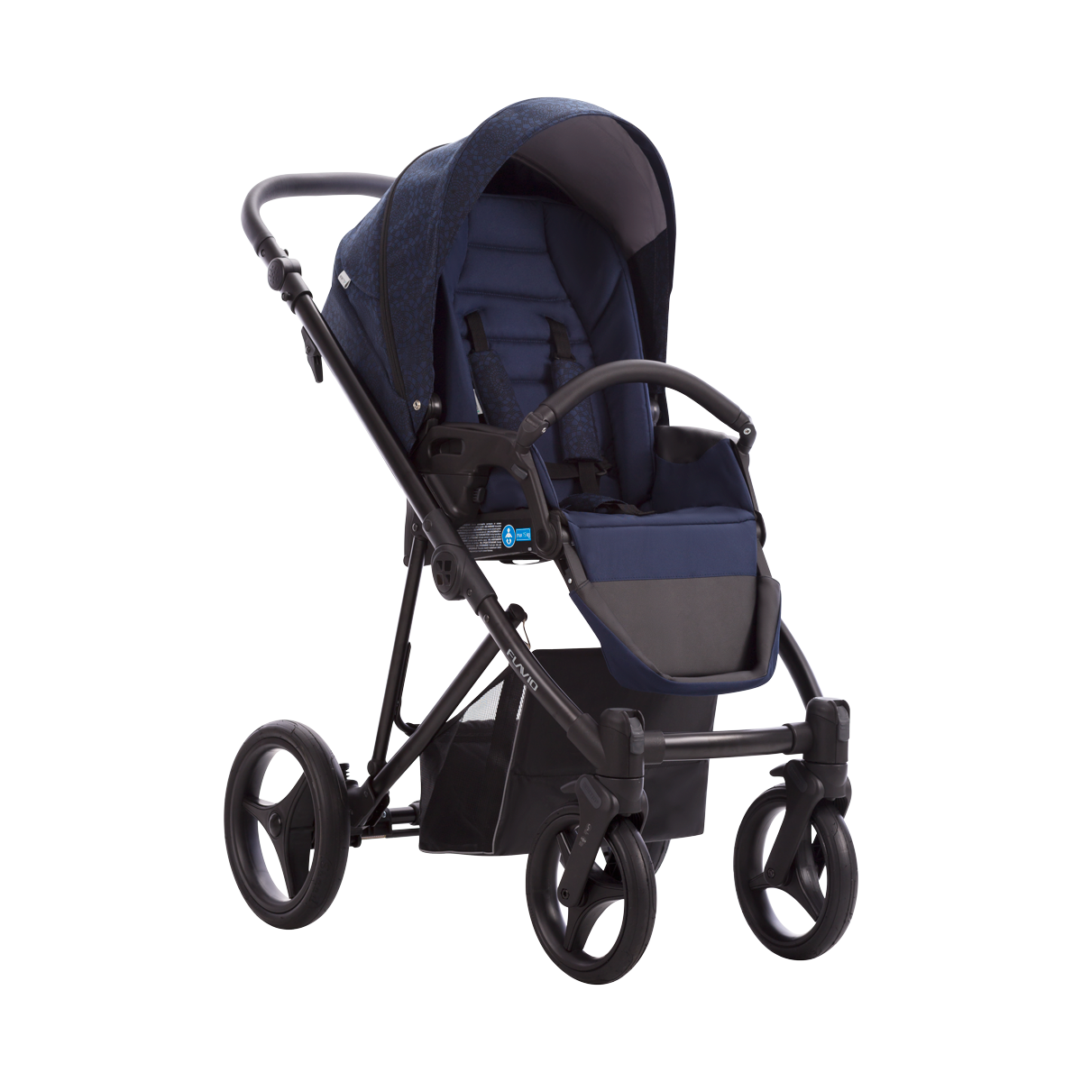 BEBETTO FLAVIO FLOWERS 04