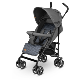 LIONELO ELIA GRAPHITE