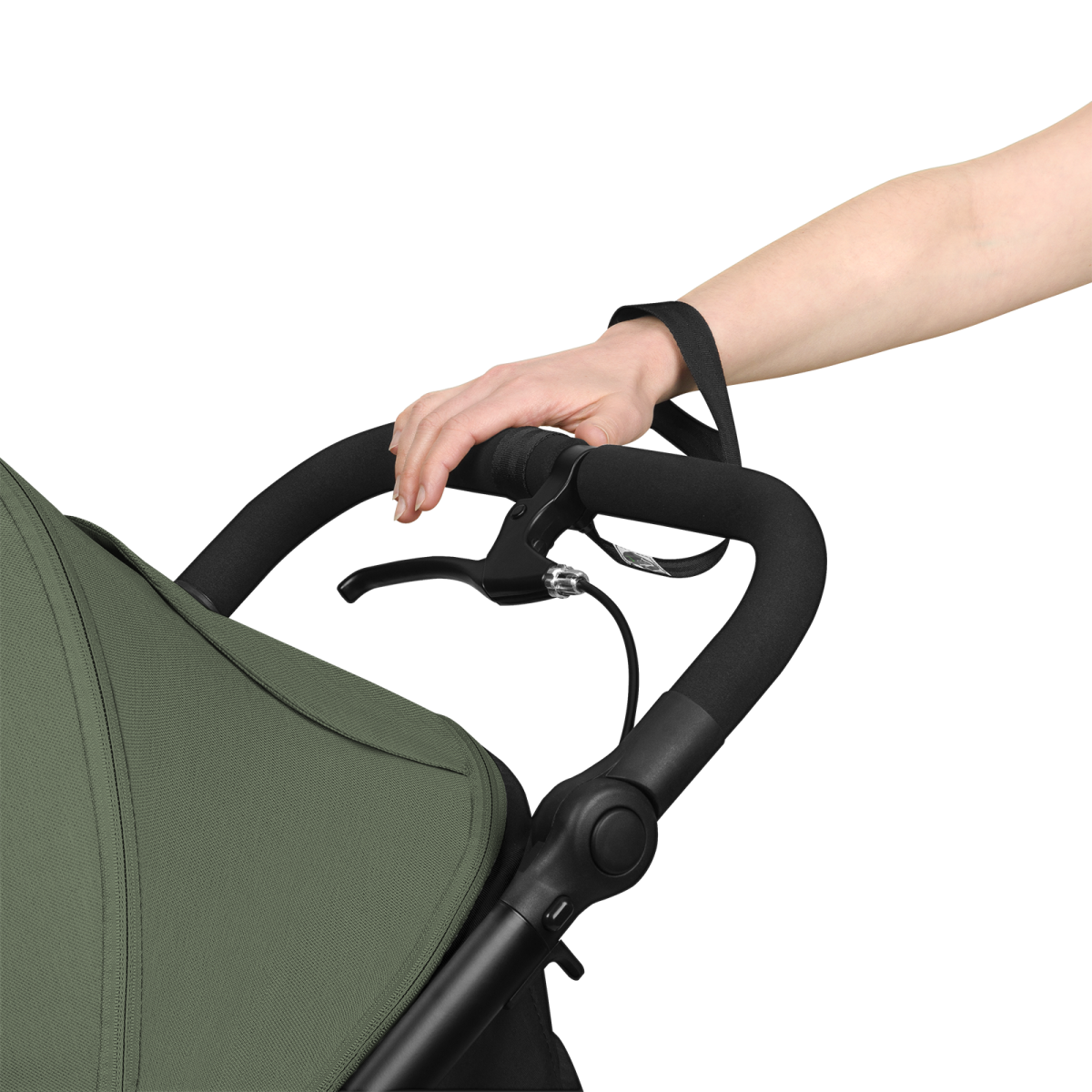 LIONELO AZURA GREEN FOREST